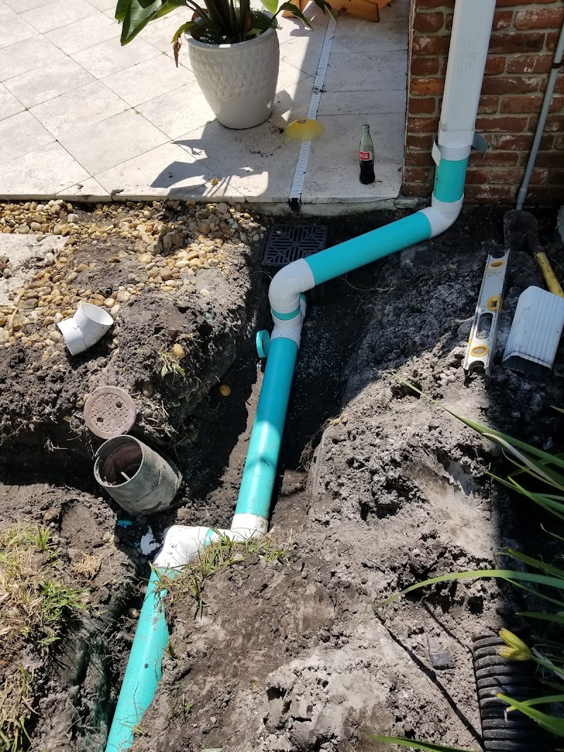 Oldsmar Lawn & Landscape photo 3