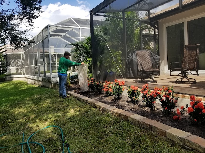 Oldsmar Lawn & Landscape photo 4