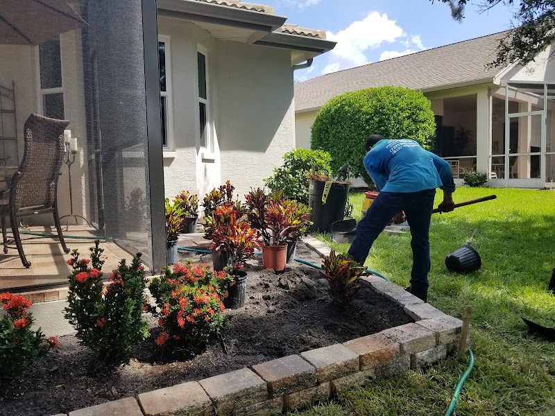 Oldsmar Lawn & Landscape photo 2