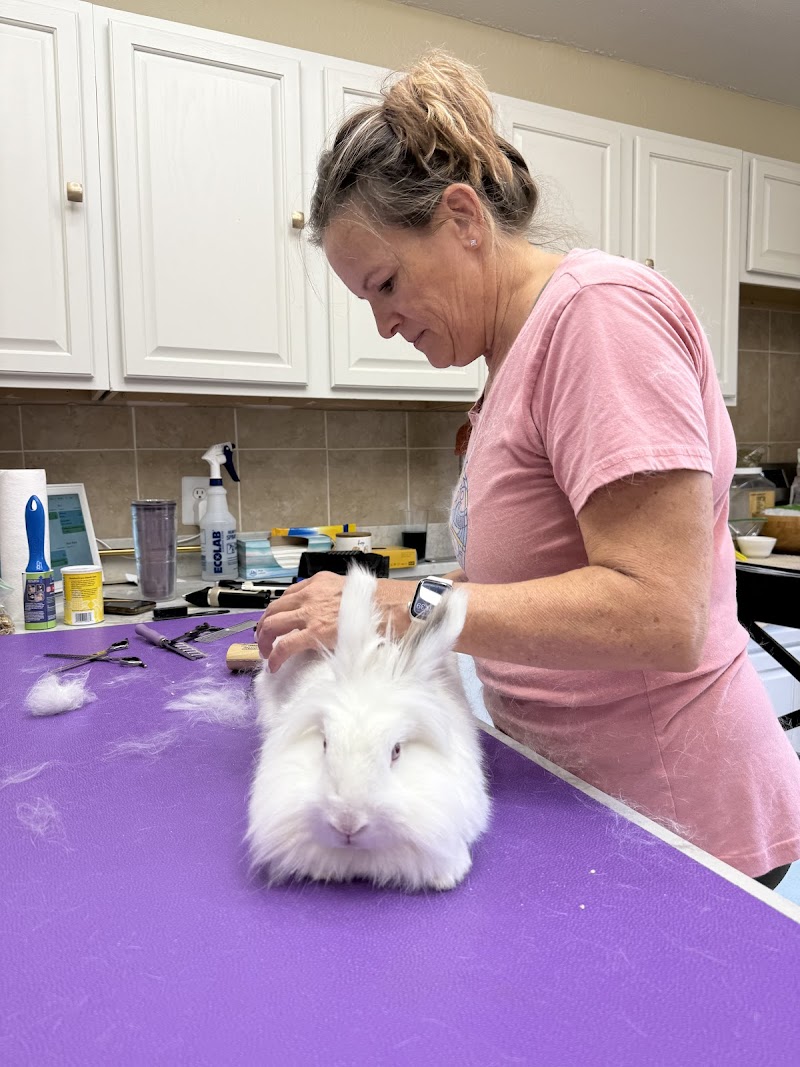 Photo of The Bunny Bungalow
