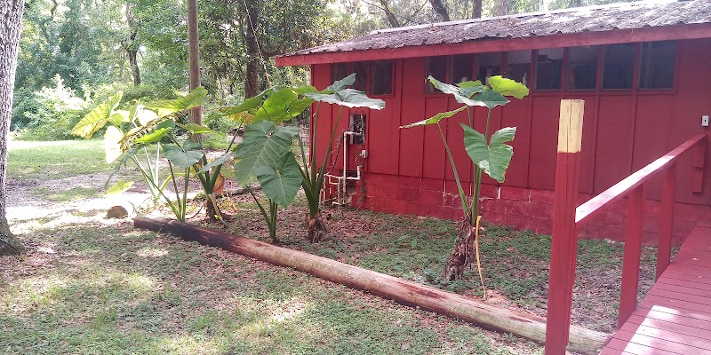The Farm photo 5