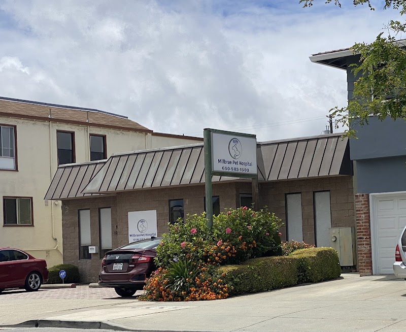 Photo of Millbrae Pet Hospital