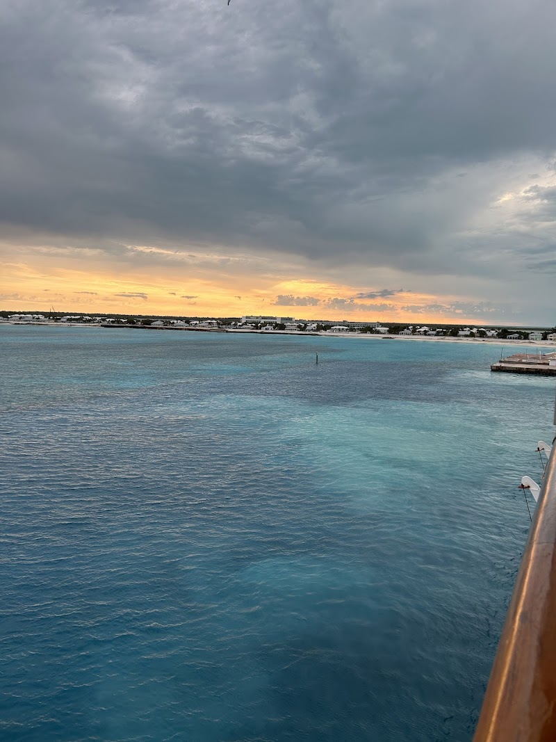 Cruise Planners - Tess Davis Travel photo 2