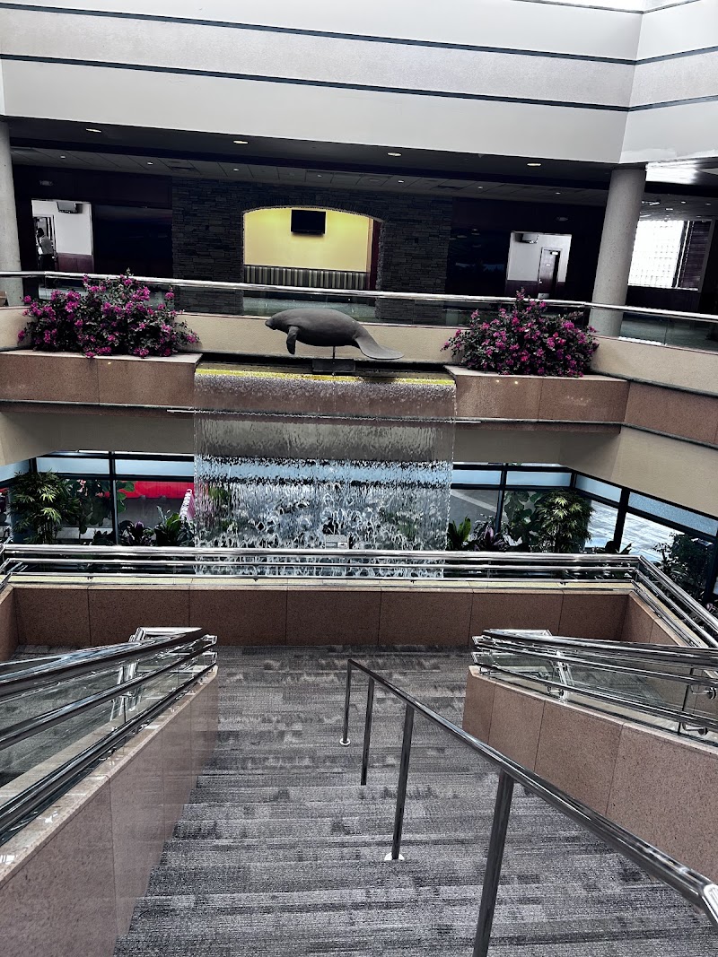 Sarasota Bradenton Intl. Airport photo 2