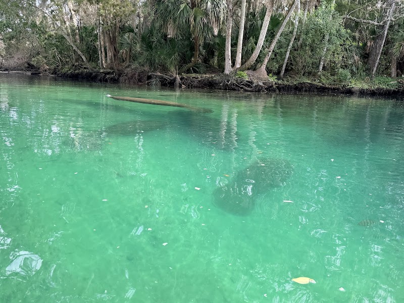 Get Up And Go Kayaking - Weeki Wachee photo 4