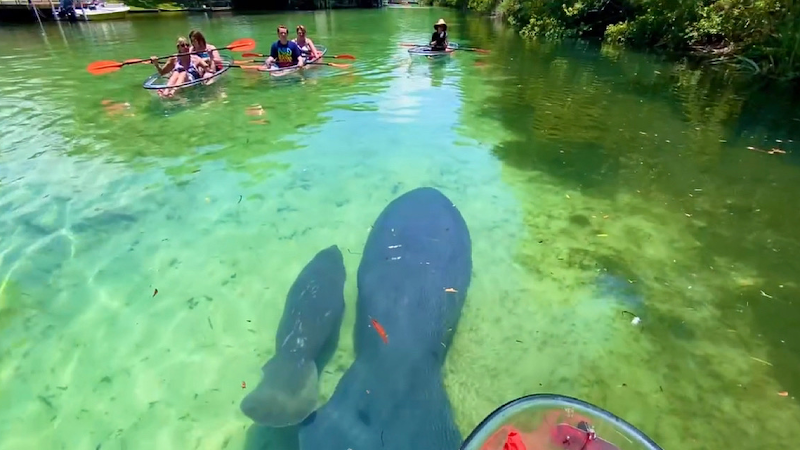 Photo of Get Up And Go Kayaking - Weeki Wachee