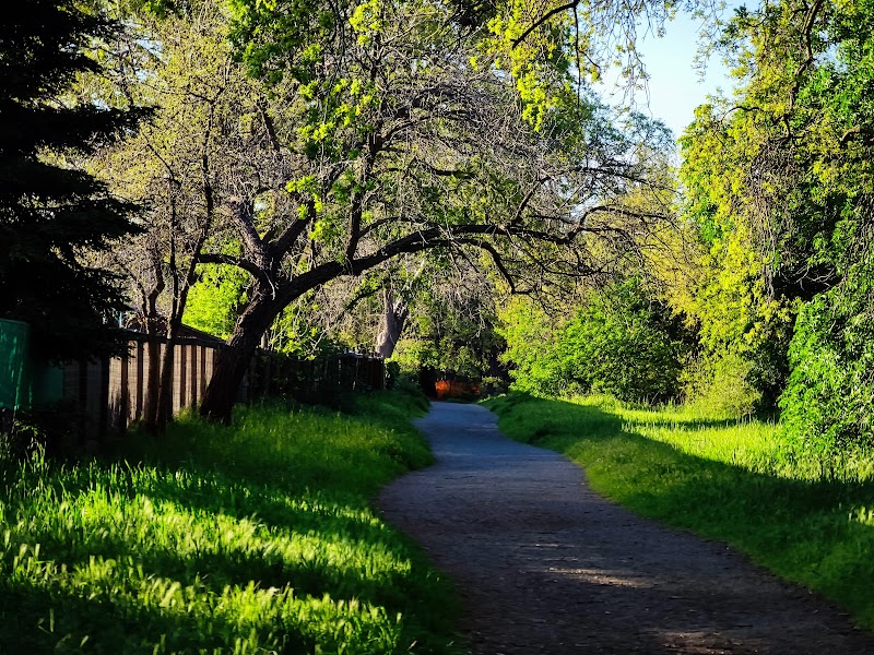 Peacock Creek photo 5