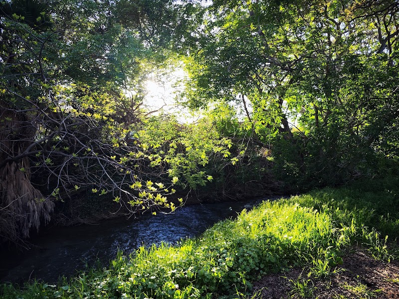 Peacock Creek photo 3
