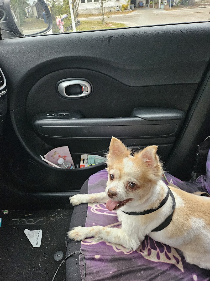 Ultimate Pet Care Salon photo 5