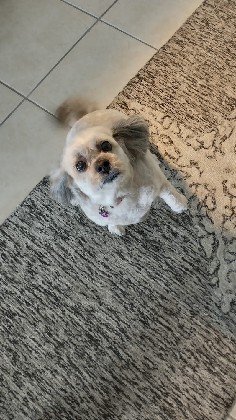 Ultimate Pet Care Salon photo 2