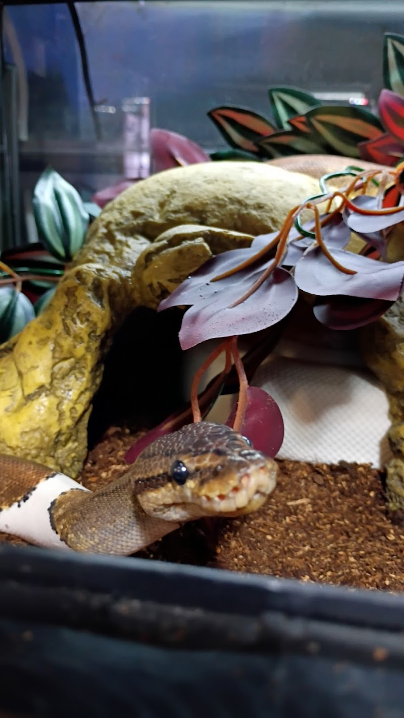 Seascape Aquarium & Pet Center photo 5