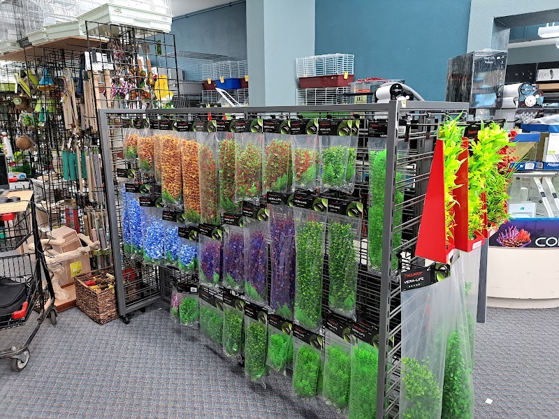 Seascape Aquarium & Pet Center photo 2