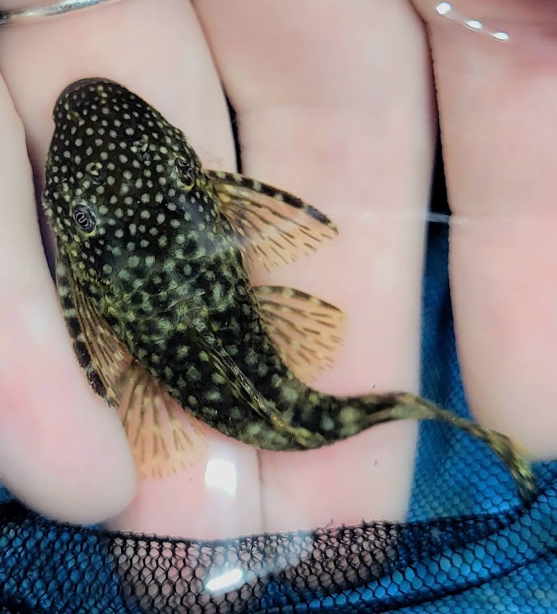 Seascape Aquarium & Pet Center photo 3