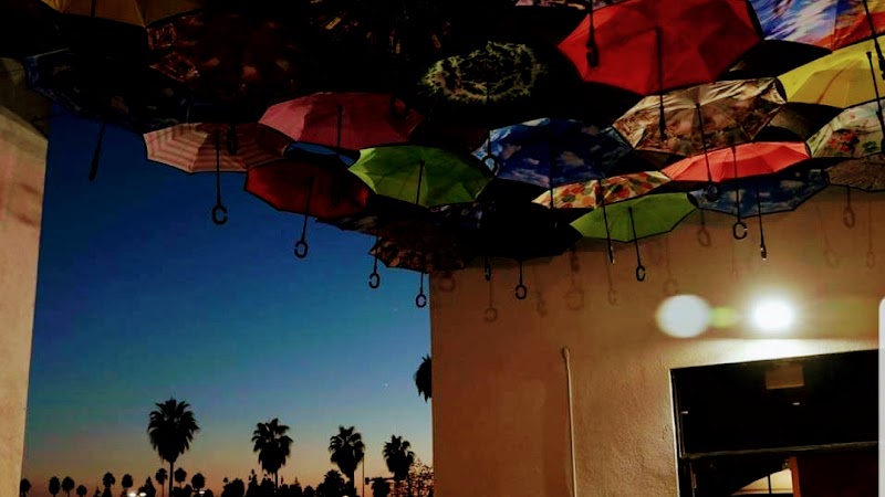 Sunset Rooftop photo 3