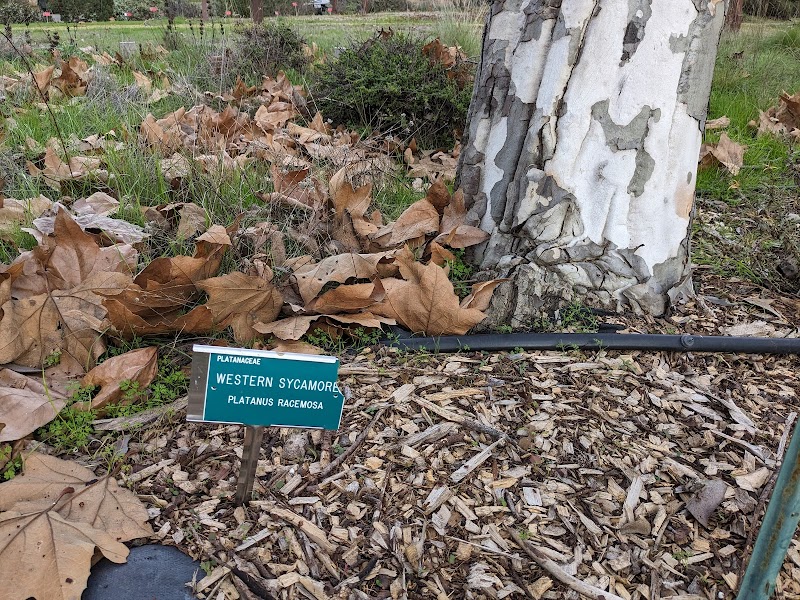 Forrest Deaner Native Plant Botanic Garden photo 4
