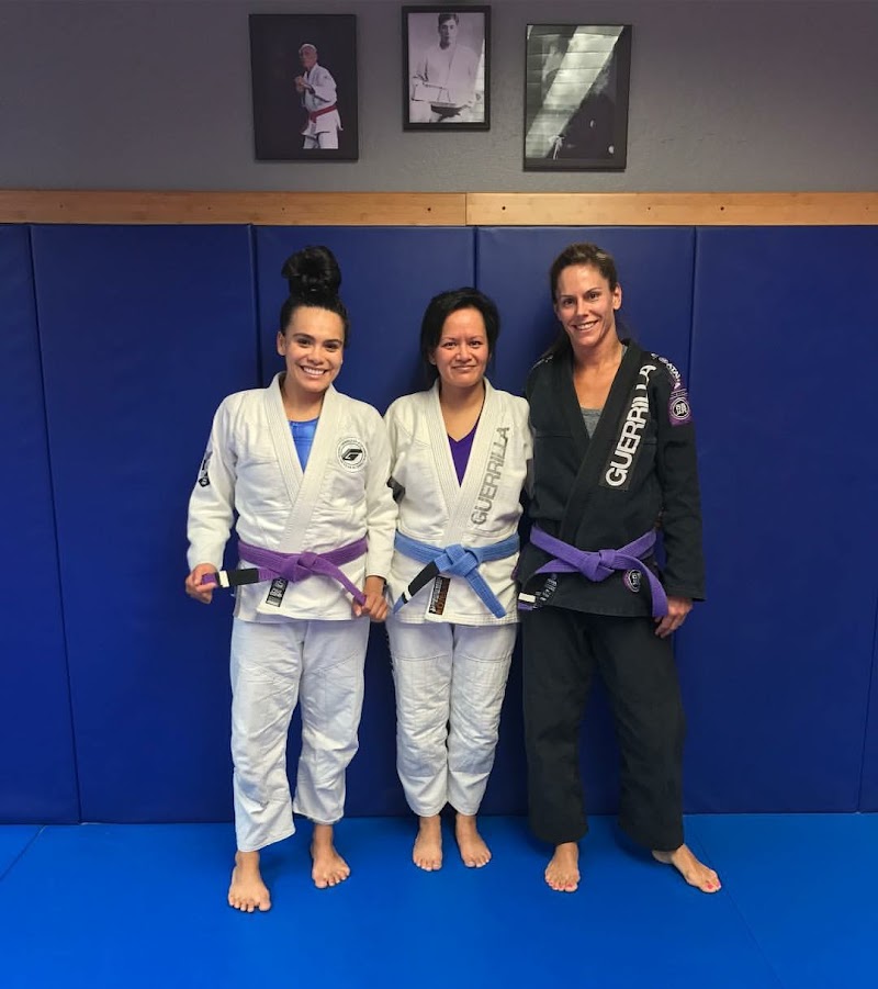 Photo of Guerrilla Jiu Jitsu
