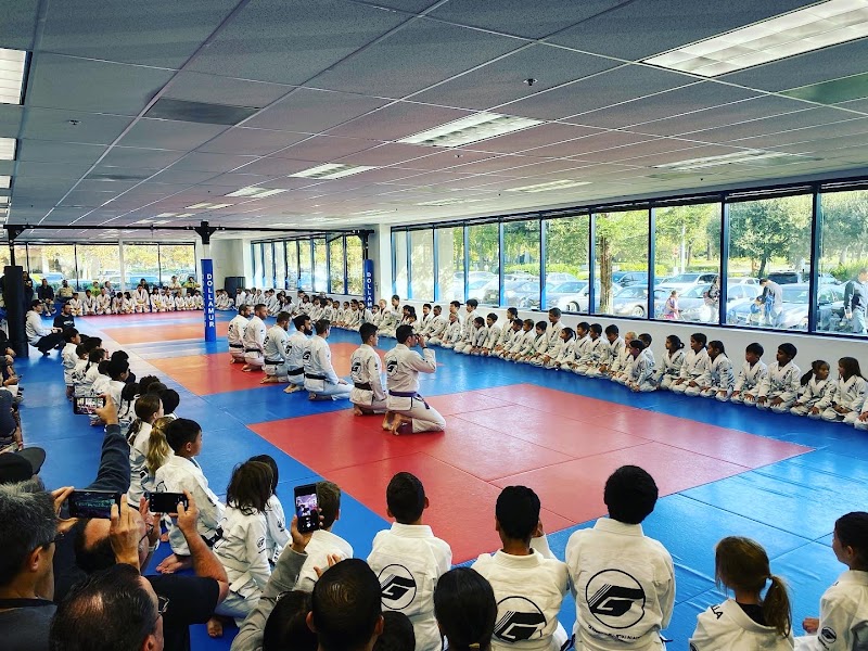 Guerrilla Jiu Jitsu photo 2