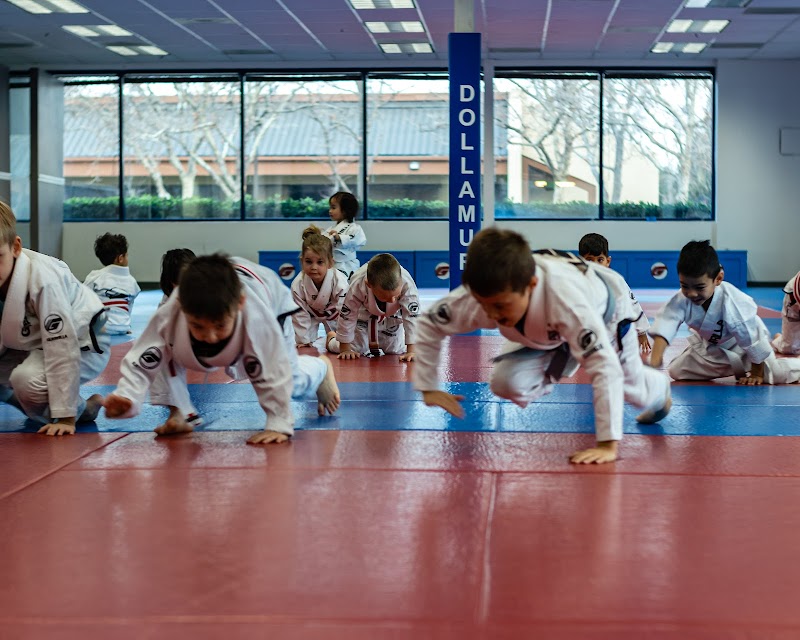 Guerrilla Jiu Jitsu photo 4