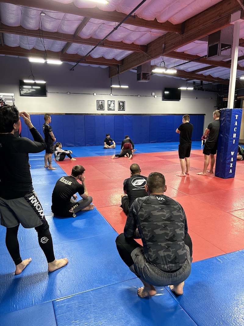 Guerrilla Jiu Jitsu photo 5