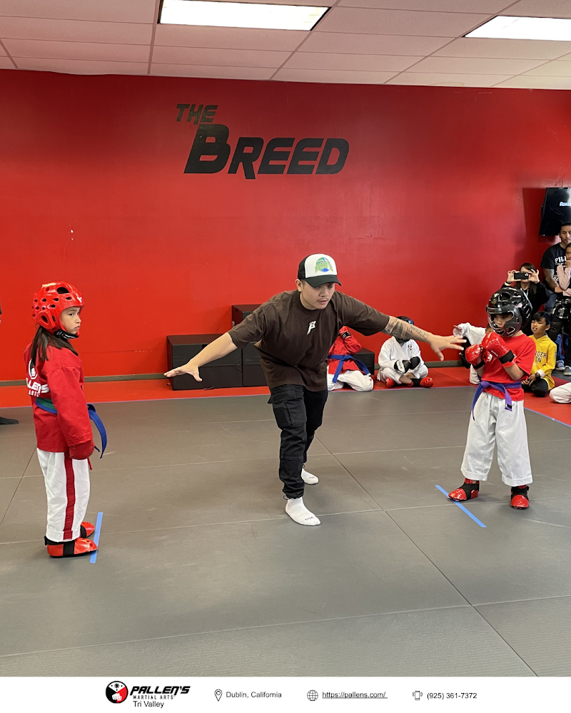 Pallen's Martial Arts Tri Valley photo 3