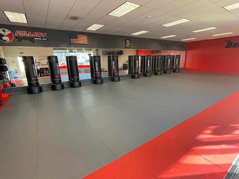 Pallen's Martial Arts Tri Valley photo 2