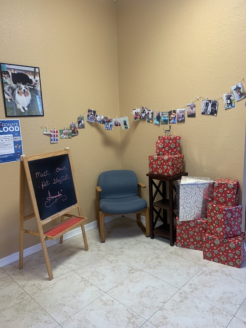Camp Cooper (DOGGY Daycare) photo 3