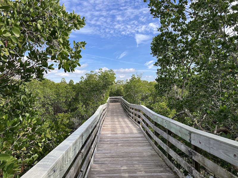Town Square Nature Park photo 2