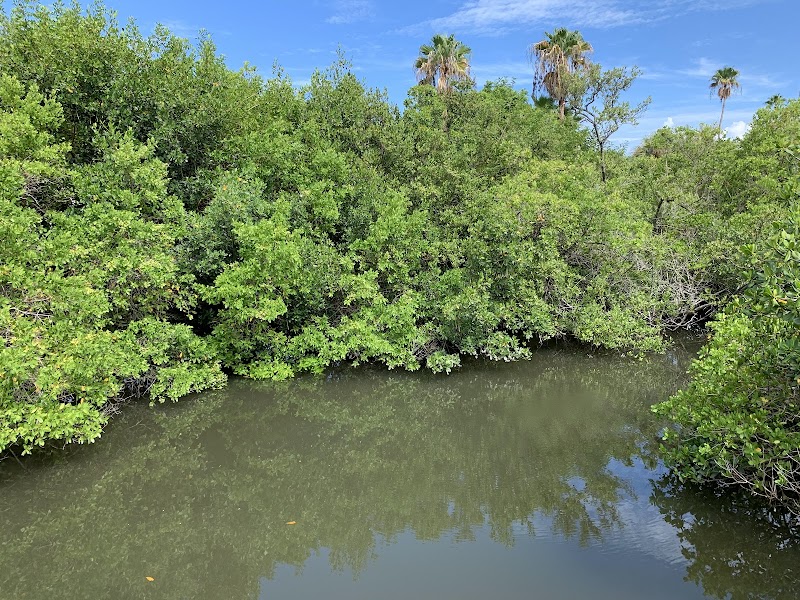 Town Square Nature Park photo 3