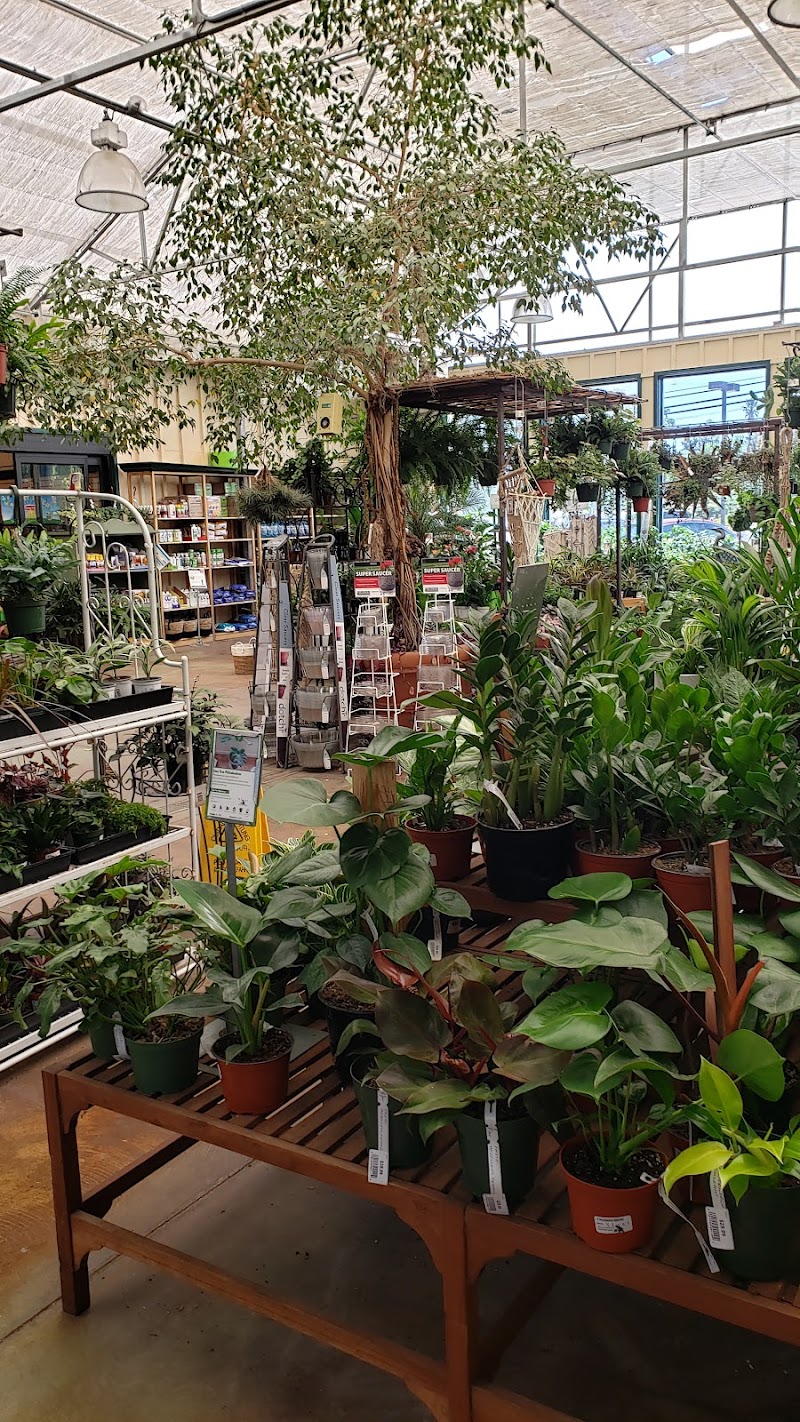 Sloat Garden Center photo 4