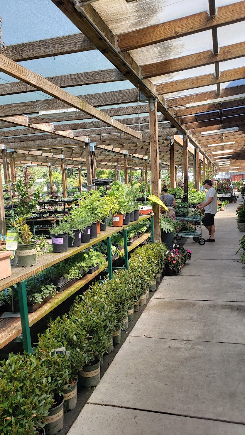 Sloat Garden Center photo 3