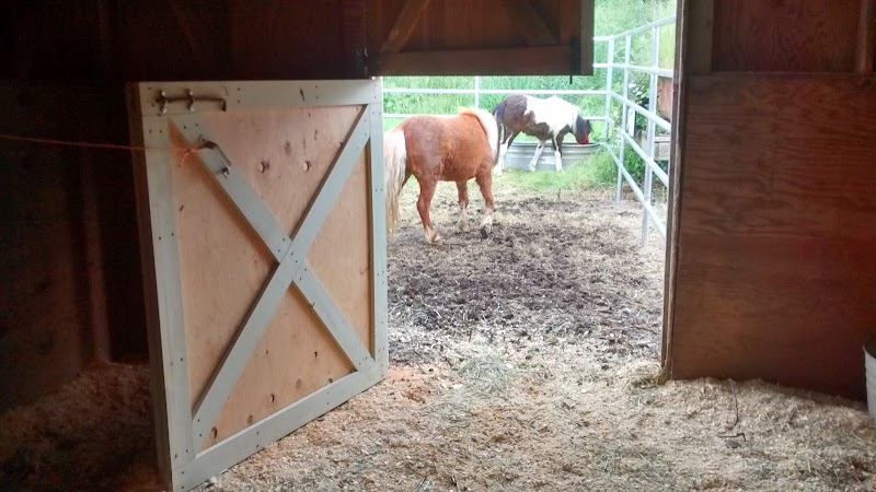 Covy-Tucker Hill Kennels photo 2