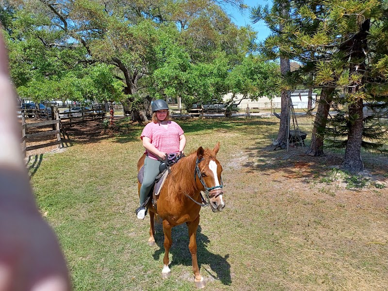 Ruxton's Ranch Rides photo 2