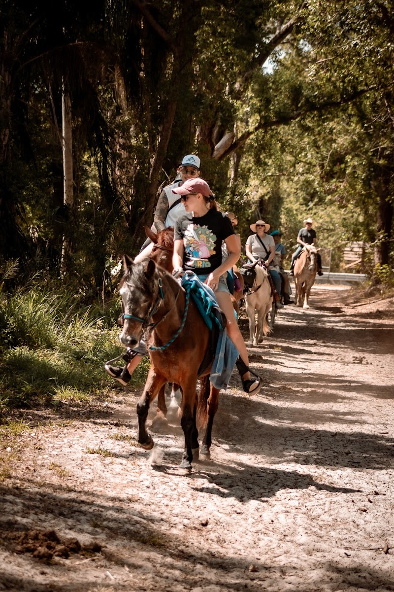 Ruxton's Ranch Rides photo 3