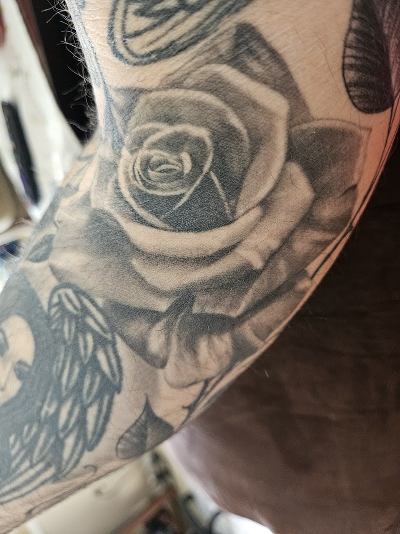 Photo of BÈLICO INK