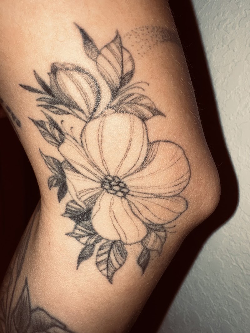BÈLICO INK photo 3