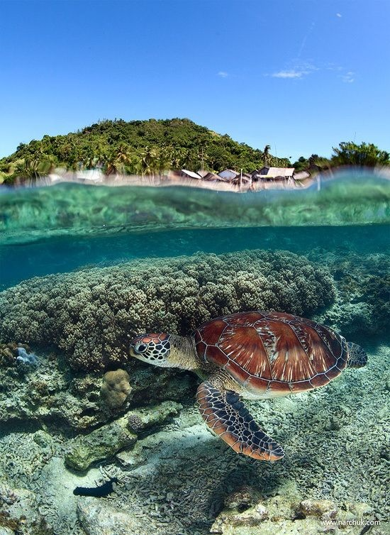 Photo of Kari Vest & Angie Geiger Dream Vacations