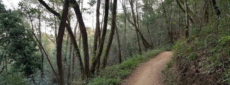 Octopus Trail photo 3