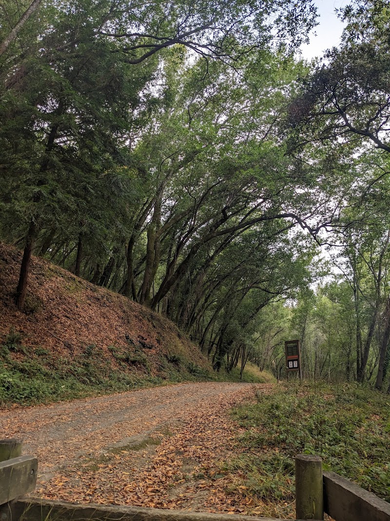 Octopus Trail photo 4