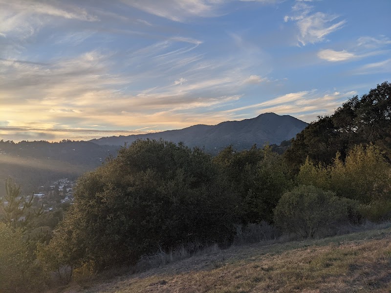 Photo of Octopus Trail