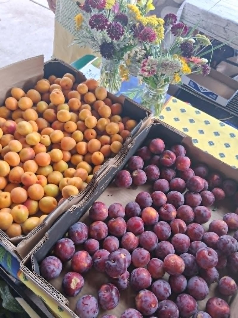 Verde Valley Farmers Market photo 3