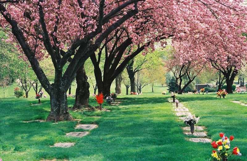 Photo of Fairfax Memorial Park