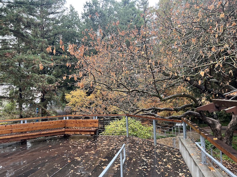 Wyatt Deck photo 2