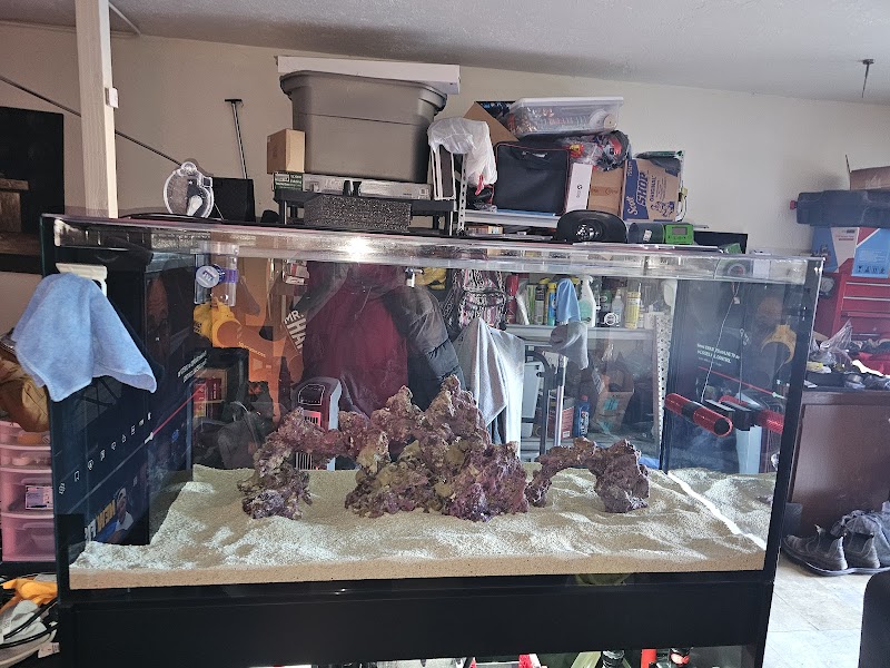 Photo of Reef Racket LLC