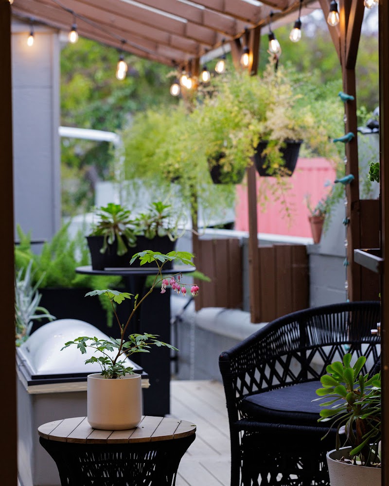 ROSEWATER STUDIO | hair salon, nourishing scalp care spa, tasteful soft semi- perminant eye liner and brow tattoo photo 2