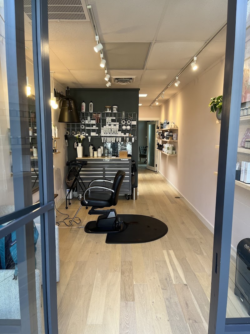 ROSEWATER STUDIO | hair salon, nourishing scalp care spa, tasteful soft semi- perminant eye liner and brow tattoo photo 3