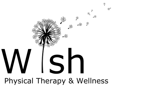 Photo of Wish Physical Therapy and Wellness