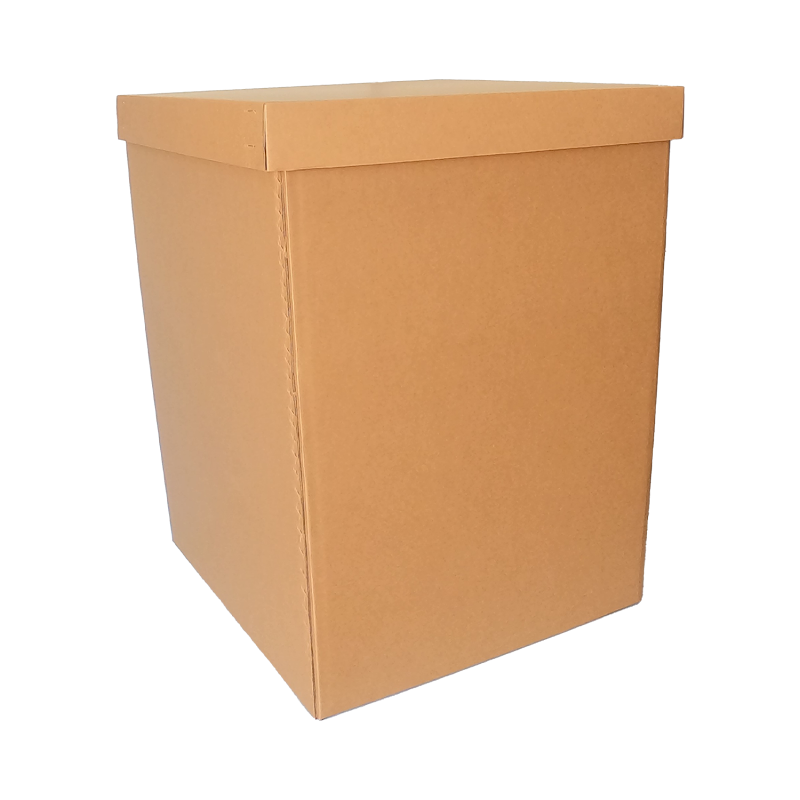 Photo of St. Pete Paper & Packaging