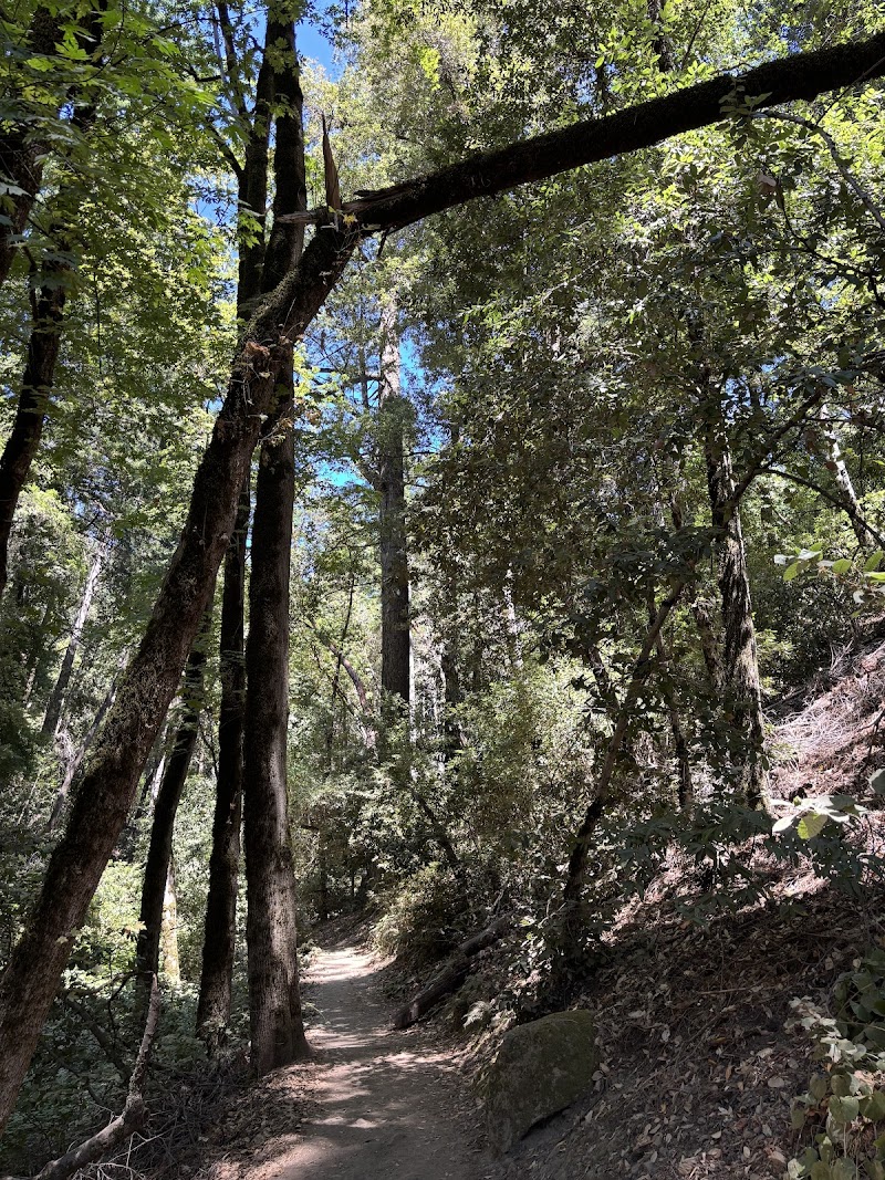 Photo of Castle Rock State Park Visitor Center