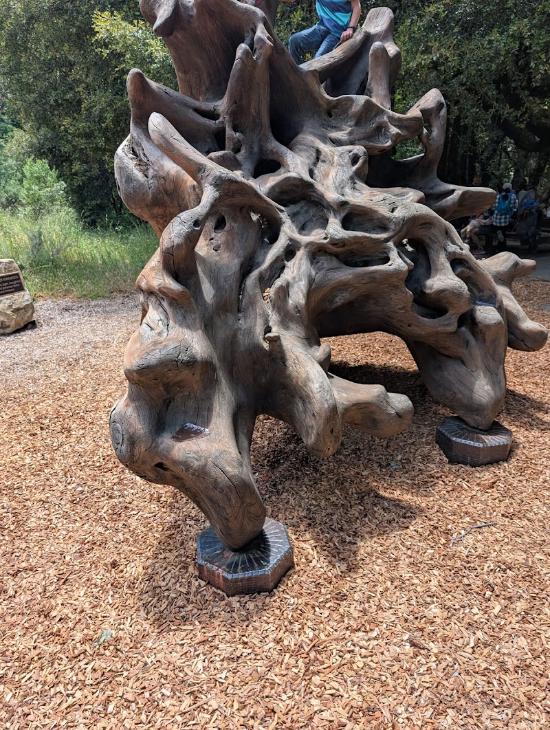Castle Rock State Park Visitor Center photo 4