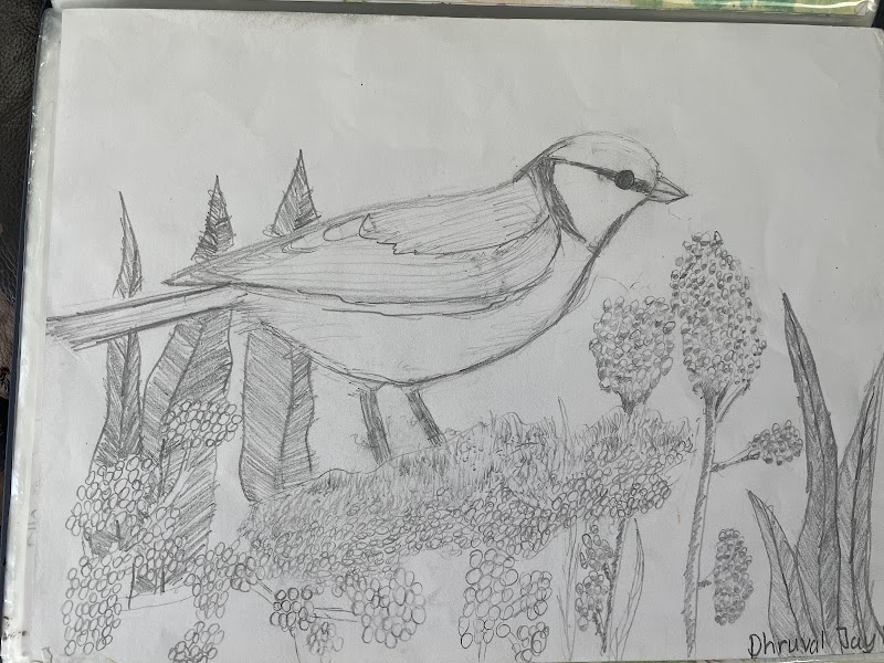 LAKSHMIS ART WORKSHOP photo 5